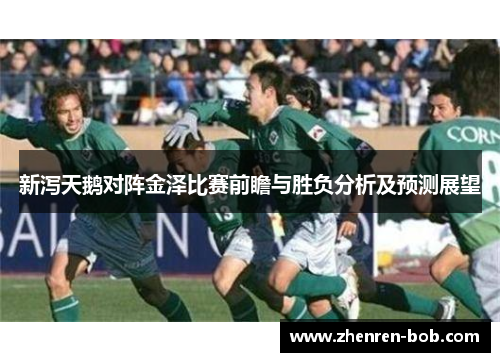 新泻天鹅对阵金泽比赛前瞻与胜负分析及预测展望