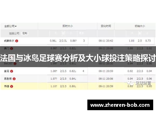 法国与冰岛足球赛分析及大小球投注策略探讨